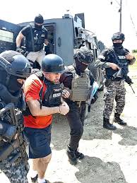 Jamie Lyn Rinaldi Porn-Somewhat Older Compared