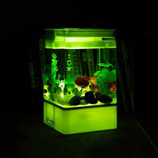 If you love your reef tank you want to find the most awesome selction of saltwater corals for sale and other marine aquarium equipment for sale and be able to buy them all together to save on shipping. Tucker Murphy Pet Mini Fish Tank Portable White Fish Aquarium With Fake Plants Stones Micro Landscape Fish Tank With Led Light Decor Desktop Fish Tank For Home Office Store Wayfair