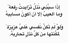 شعر ادب اللغة العربية Arabic Quotes Words Quotes