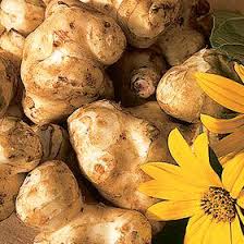 Free for commercial use no attribution required high quality images. Growing Jerusalem Artichokes Nc State Extension Publications