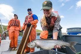 A Race Against Time Yellowstone Forever Yellowstone Cutthroat Trout Conservation
