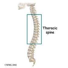 Some folks don't mind making individual ajax requests. Physical Therapy In Buffalo For Spinal Compression Fractures