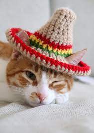 Cat Sombrero Crochet Pattern Crochet Instructions For Pet Etsy In 2021 Cat Hat Pattern Crochet Cat Hat Cat Hat