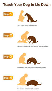 Teach Your Dog To Lie Down Dog Training Obedience Dog Training Puppy Training