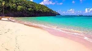 Check spelling or type a new query. Softest Beach Sounds From The Tropics Ocean Wave Sounds For Sleeping Yoga Meditation Study Youtube