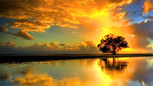 We hope you enjoy our growing collection of hd images to use as a background or home screen for your smartphone or computer. Download Free Android Wallpaper Sunset Sunrise 4d 3906 Mobilesmspk Net