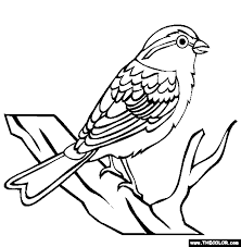Sparrow Bird Drawing For Kids With Colour Chipping Sparrow In 2020 Bird Coloring Pages Coloring Pages Online Coloring