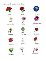 Las Plantas 2º