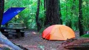 Maybe you would like to learn more about one of these? Camping In The Redwoods Visit California