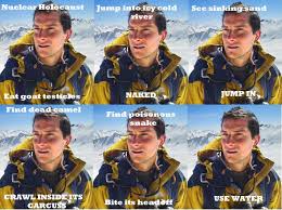 Botw link's face has too much meme power. Bear Grylls Meme