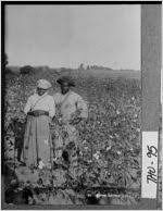 Georgia County: Thomas