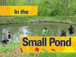 Biotic And Abiotic Factors In An Ecosystem Video Pond Ecosytem For Kids Ecosystems Educational Youtube Channels Pond