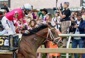 Below are the horses who are set to run in the race, as well as their owners, trainers and jockeys. Uos8qmvdzbfcnm