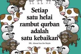 Dp Bbm Ucapan Selamat Idul Adha 1440h Gif Bergerak Lucu Download Access Upblackberry Com Download Dp Met Lebaran 3 Glorios As Di 2020 Gambar Lucu Meme Lucu Lucu