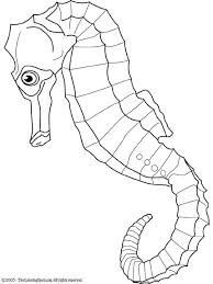 Top 25 fish coloring pages for preschoolers: Seahorse Fish Coloring Page Animal Coloring Pages Cool Coloring Pages