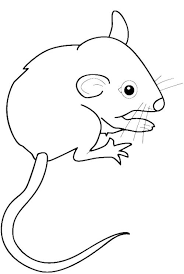 Baby Mouse Coloring Pages Coloring Pages Pet Mice Animal Clipart