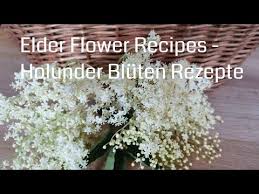 Check spelling or type a new query. Elder Flowers Harvest Recipes For These Elder Flowers