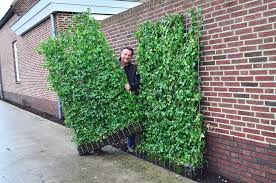 Mobilane Greenscreen Benefits Instant Security Instant Privacy Significantly Increases Bi Plantas Artificiais Decoracao De Jardim Externo Jardins Pequenos