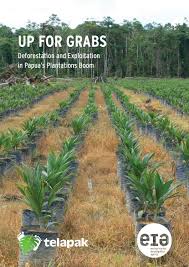 Borneo group adalah perusahaan swasta nasional yang telah berdiri sejak tahun 2005, yang bergerak di bidang pt. Up For Grabs Deforestation And Exploitation In Papua S Plantations Boom By Environmental Investigation Agency Issuu