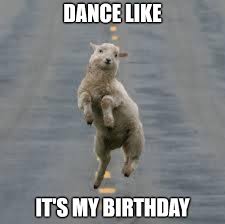 Happy birthday memes are image macros, animated gifs and other online media used to wish someone a happy birthday. Dance Like It S My Birthday Dancing Sheep Meme