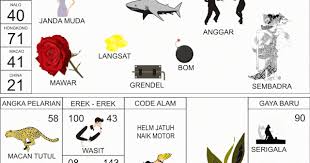 Check spelling or type a new query. Erek Erek Bunga Mawar Putih Kanan Bawah