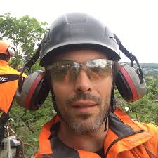 Shadow of the Apple Tree Arboriculture