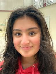 District 10 diving meet titles swept by Fairview, McDowell divers