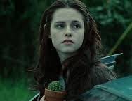 Twilight character habits and collections