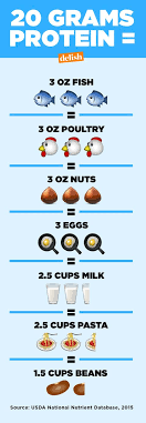 Many assume that the body can't handle more than this. How Much Protein You Actually Need