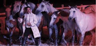 Les éditions balzane seront présente sur le salon du cheval de toulouse & grenade sur garonne. Salon Cheval Roi A Toulouse A Vos Agendas Cheval Magazine