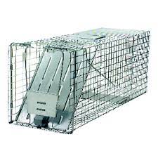 ★ do solar powered animal repellents work? Pest And Insect Control At Ace Hardware
