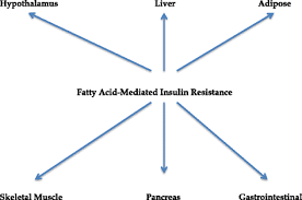 Calories are a measurement of energy that food give you. The Role Of Fatty Acids In Insulin Resistance Lipids In Health And Disease Full Text