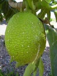Pin On Fruit