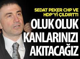 Geçmişte ve bugün yeni yayımlanan son durum gelişmeleri ile pek çok haber. A Haber On Twitter Sedat Peker In Sozleri Chp Ve Hdp Yi Cildirtti Https T Co Whsswudplq Https T Co W4n6efwcfo Twitter
