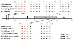 That is to say there's no getting around the disgusting way these highly contagious. Figure 2 Novel Gii 12 Norovirus Strain United States 2009 2010 Volume 17 Number 8 August 2011 Emerging Infectious Diseases Journal Cdc