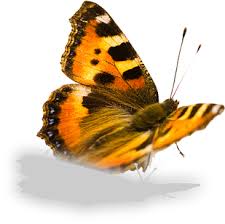 Permaclean Umweltvertraglichkeit