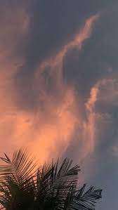 Terlepas dari model foto pemandangan yang diminati, desain foto pemandangan bisa dijadikan referensi foto pemandangan. 140 Ide Sunset Pemandangan Fotografi Alam Fotografi Pemandangan