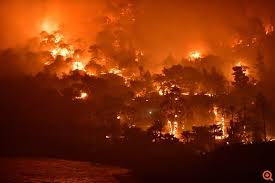 Ολονύχτια μάχη με τις φλόγες η οποία συνεχίζεται και σήμερα από τις πυροσβεστικές δυνάμεις στο σχινό κορινθίας, για να θέσουν υπό έλεγχο την μεγάλη πυρκαγιά, που ξέσπασε χτες και έχει κάψει. Hinau813hwwxam