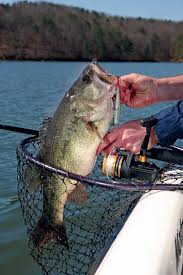 Page 5 of the full game walkthrough for bass pro shops: 6 Go To Crankbait Strategies For Cold Weather Bass