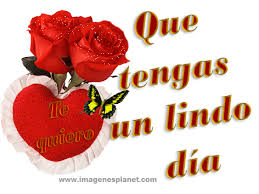 Https Encrypted Tbn0 Gstatic Com Images Q Tbn And9gcsymf3zdrzbahrcjygmyjzn0nvj 8erv1qf6w Usqp Cau