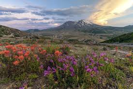 8 socialiniai puslapiai, įskaitant facebook ir google, valandos, telefonai, el. Eyewitness To History Clark County Today Staffers Share Mt St Helens Memories Clarkcountytoday Com