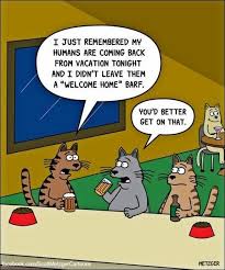 See more ideas about cartoon profile pictures, cartoon profile pics, vintage cartoon. 26 Witty Feline Comics For A Purrfect Sunday Kittens Funny Funny Cats Cartoon Cat