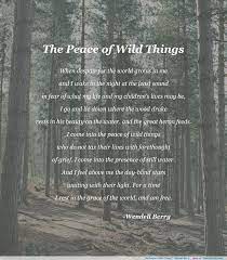It is a fact that the entire kentucky river system, which the central part of the state complacently depends upon for its future water, is deteriorating rapidly because of strip mining, because of bad farming, because of industrial and agricultural pollutants, because of urban sewage. Wendell Berry Quotes Farming Image Quotes At Buzzquotes Com Wendell Berry Quotes Nature Poem Nature Quotes