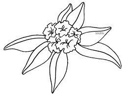 It should also be loose, crumbly, and well aerated. Hagrid Drawing Coloring Page Picture 2285076 Hagrid Drawing 1996042 Png Images Pngio
