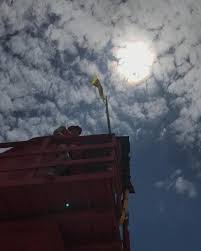 Bruno Tomasini (@tomasinibruno) • Instagram photos and videos