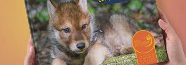 New Children's Book 'Unalii's Unexpected Adventure' Coming Soon