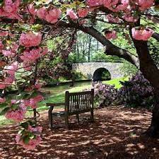 Norfolk Botanical Garden Norfolk Va Yahoo Image Search Results Botanical Gardens Flowering Trees Gorgeous Gardens