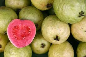 Foto buah jambu kristal yang cocok untuk menghiasi background anda. Makan Jambu Biji Membuat Usus Buntu Mitos Atau Fakta Cari Tahu Yuk Semua Halaman Bobo
