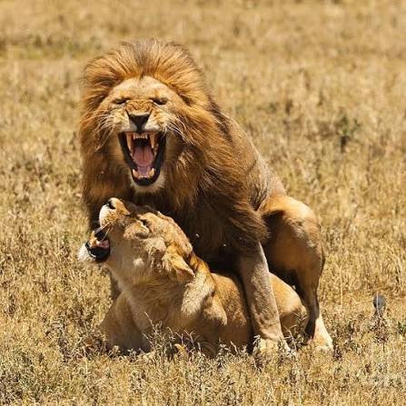 images?q=tbn:ANd9GcQaDju0uRzOub--j1B6eTT