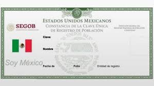 Debes ingresar correctamente al menos a tres datos. Como Consultar Mi Curp El Financiero